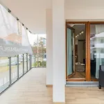 Lipova Park Coffee&wi-fi- 500 M Do Plazy, Bezplatny Meleks *