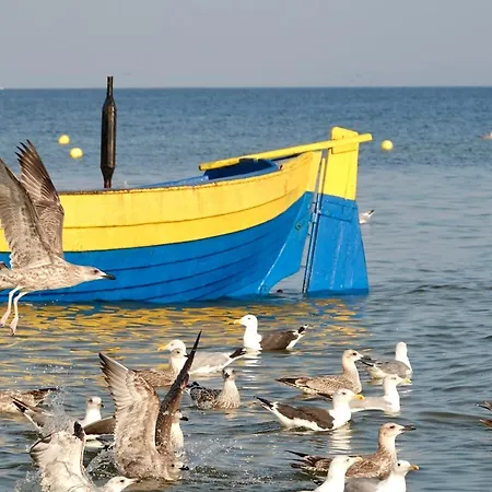 דירה Lipova Park Coffee&wi-fi- 500 M Do Plazy, Bezplatny Meleks סטגנה