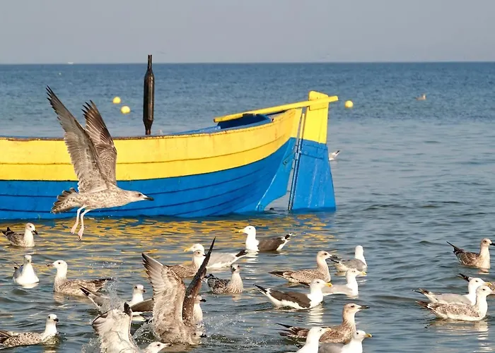 Apartamento Lipova Park Coffee&wi-fi- 500 M Do Plazy, Bezplatny Meleks Stegna (Pomerania)